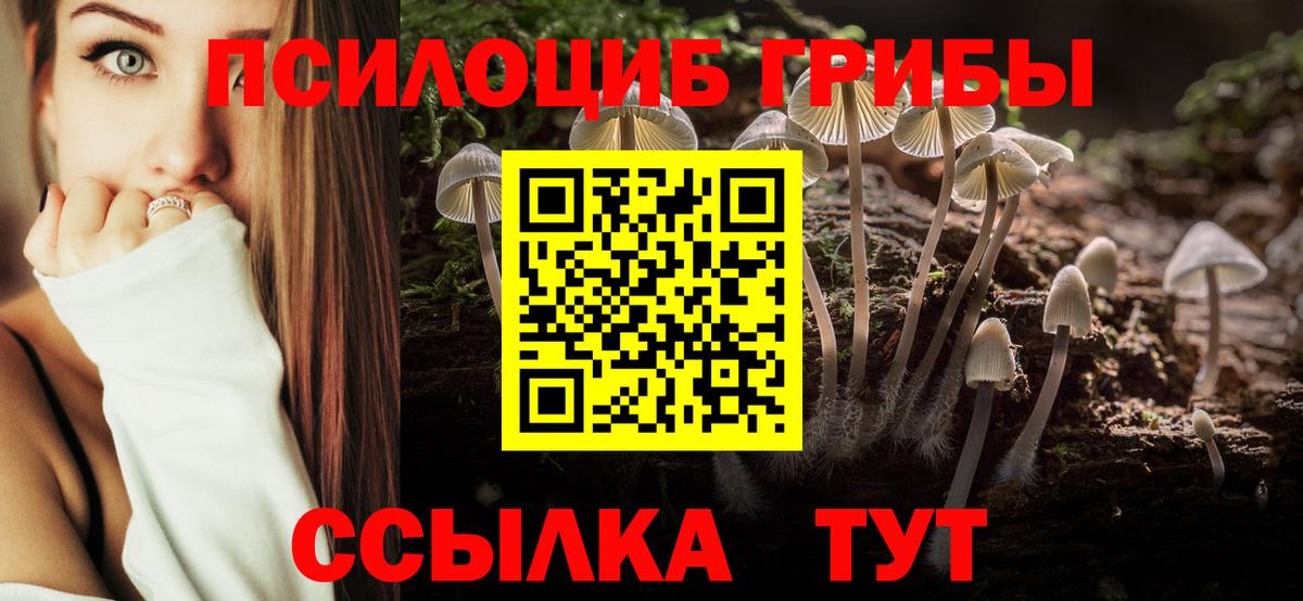 Псилоцибиновые грибы мицелий Костомукша